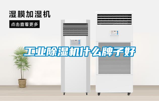 工業除濕機什么牌子好