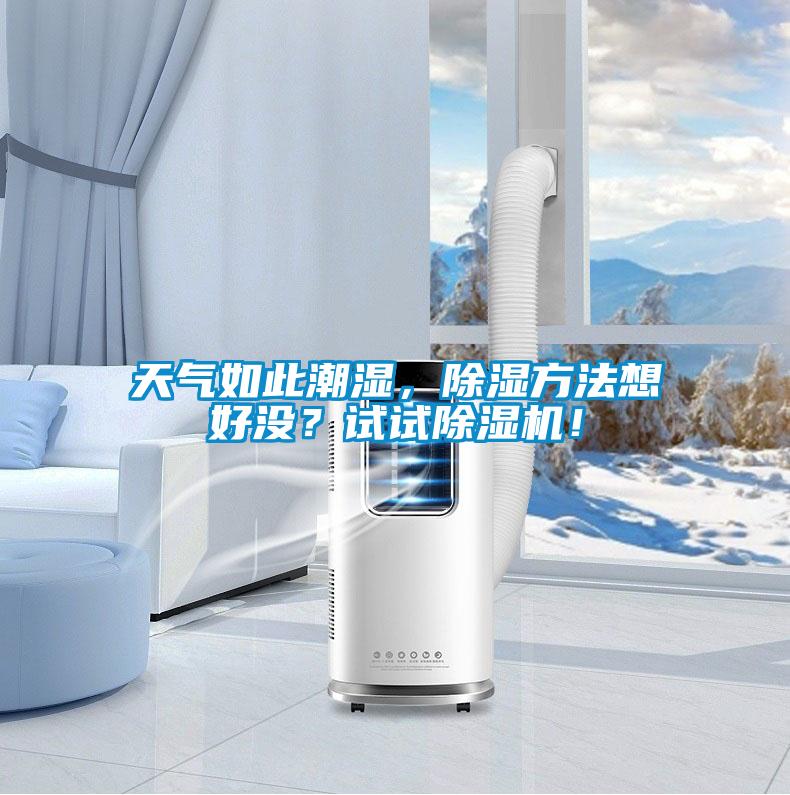 天氣如此潮濕，除濕方法想好沒？試試除濕機！