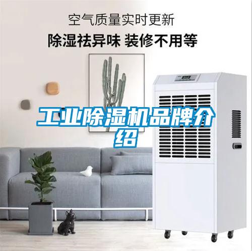 工業除濕機品牌介紹