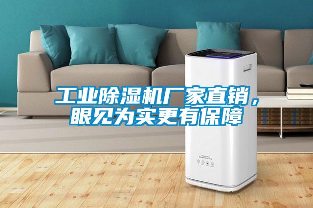 工業(yè)除濕機(jī)廠家直銷，眼見為實(shí)更有保障
