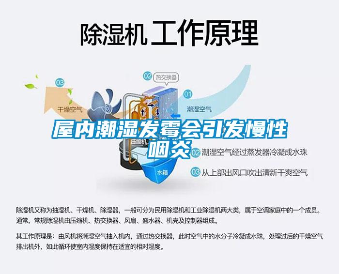 屋內潮濕發霉會引發慢性咽炎