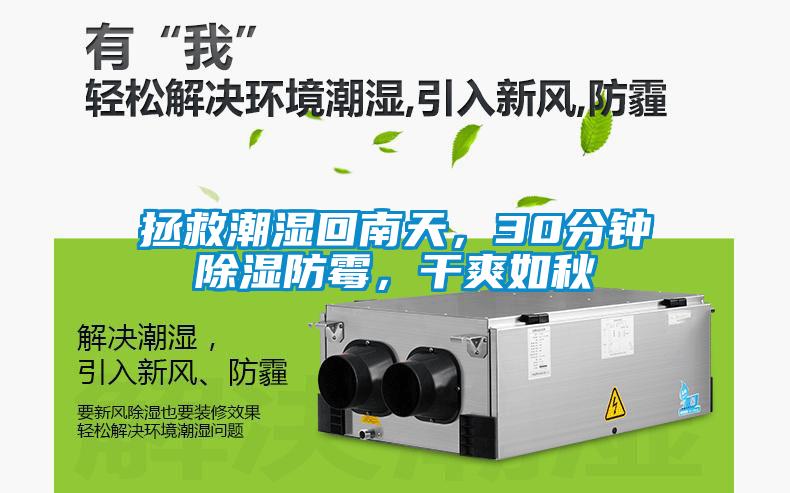 拯救潮濕回南天，30分鐘除濕防霉，干爽如秋
