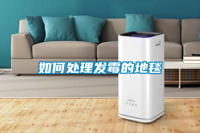 如何處理發霉的地毯