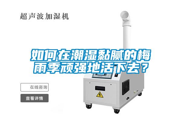 如何在潮濕黏膩的梅雨季頑強(qiáng)地活下去？