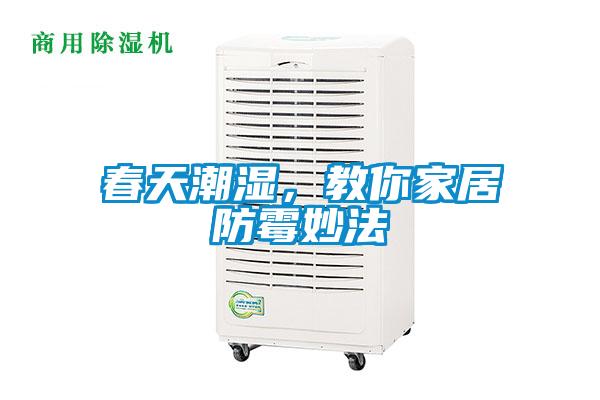 春天潮濕，教你家居防霉妙法