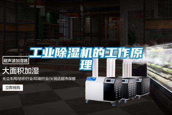 工業除濕機的工作原理
