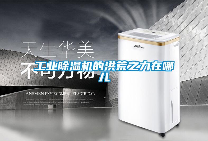 工業除濕機的洪荒之力在哪兒