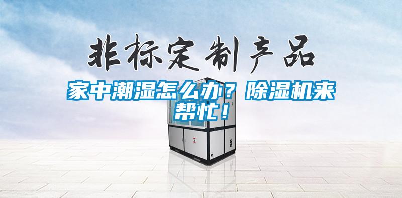 家中潮濕怎么辦？除濕機來幫忙！