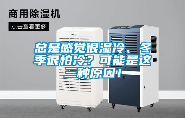 總是感覺很濕冷、冬季很怕冷？可能是這三種原因！