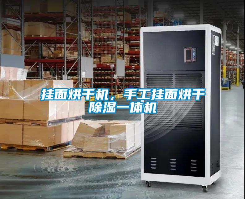 掛面烘干機，手工掛面烘干除濕一體機