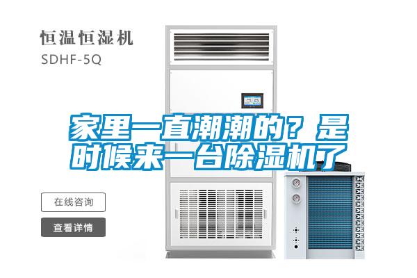 家里一直潮潮的？是時候來一臺除濕機了