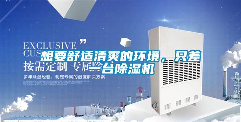 想要舒適清爽的環境，只差一臺除濕機