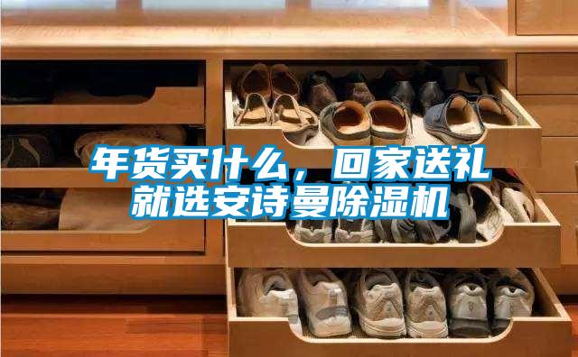 年貨買什么，回家送禮就選安詩曼除濕機