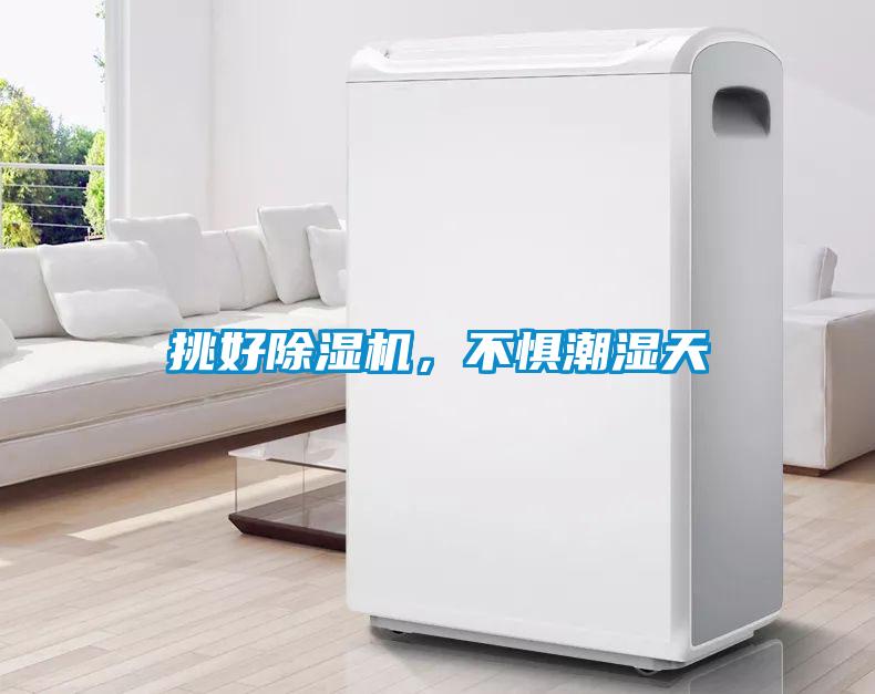 挑好除濕機，不懼潮濕天