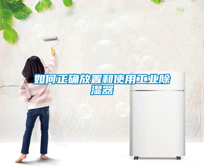 如何正確放置和使用工業除濕器