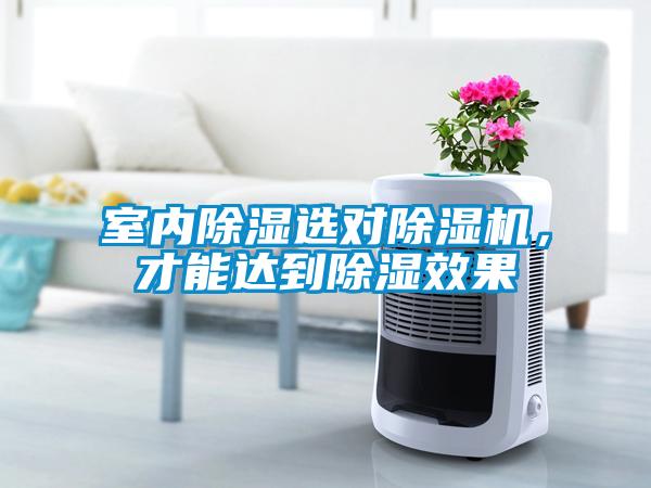 室內除濕選對除濕機，才能達到除濕效果