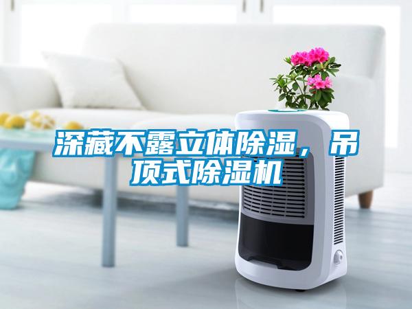 深藏不露立體除濕，吊頂式除濕機