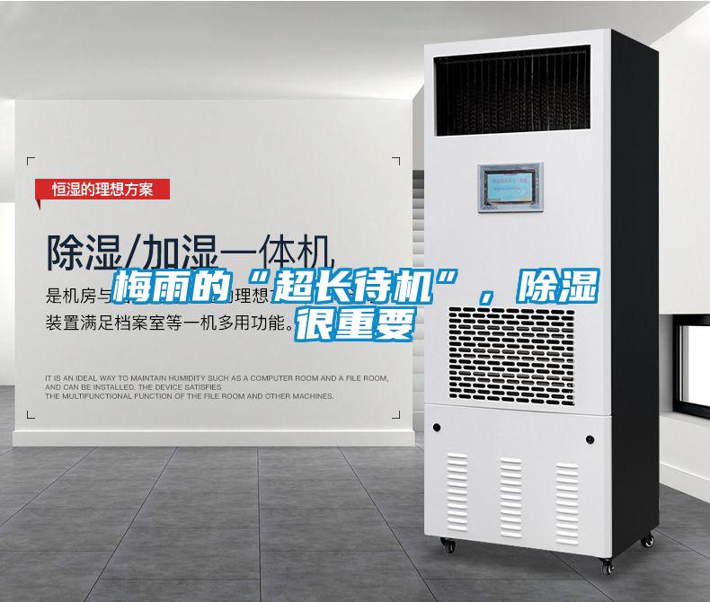 梅雨的“超長待機”，除濕很重要