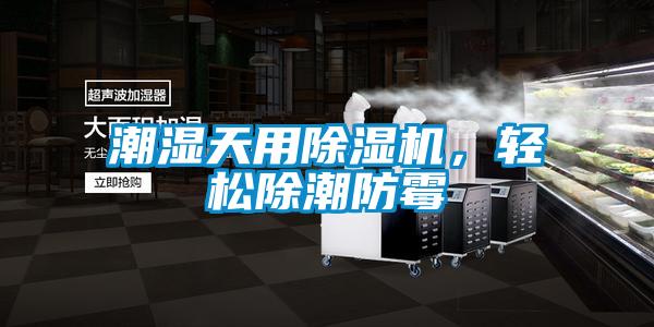 潮濕天用除濕機，輕松除潮防霉