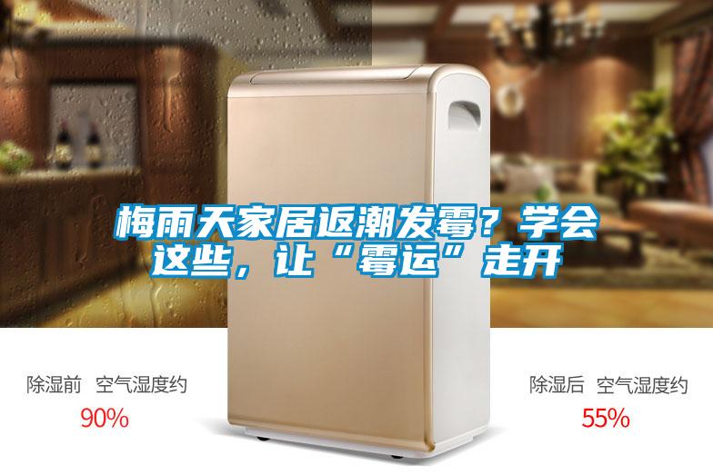 梅雨天家居返潮發(fā)霉？學(xué)會這些，讓“霉運”走開