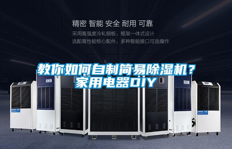 教你如何自制簡(jiǎn)易除濕機(jī)？家用電器DIY