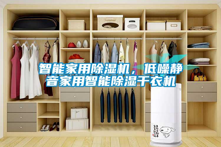 智能家用除濕機，低噪靜音家用智能除濕干衣機
