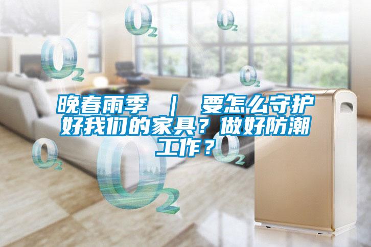 晚春雨季 ｜ 要怎么守護(hù)好我們的家具？做好防潮工作？