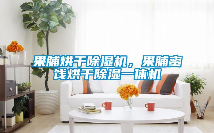 果脯烘干除濕機(jī)，果脯蜜餞烘干除濕一體機(jī)