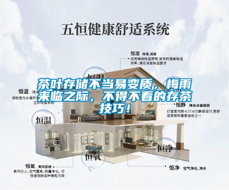 茶葉存儲(chǔ)不當(dāng)易變質(zhì),梅雨來臨之際,不得不看的存茶技巧!