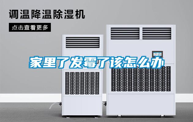 家里了發霉了該怎么辦