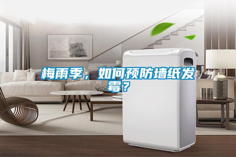 梅雨季，如何預防墻紙發霉？