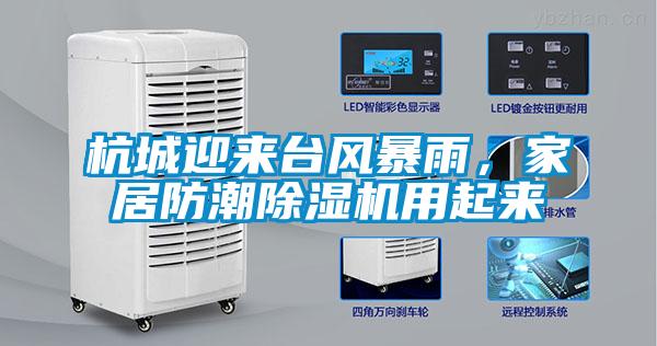 杭城迎來臺風暴雨,家居防潮除濕機用起來