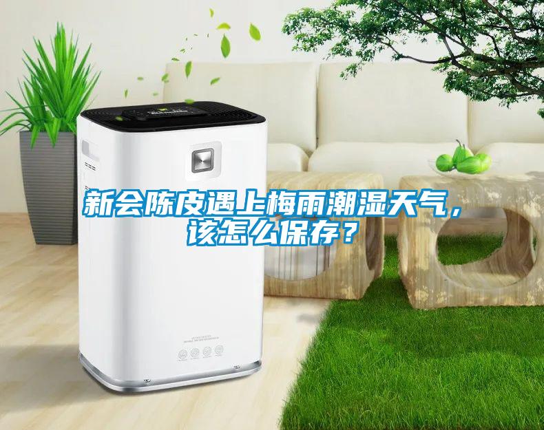 新會陳皮遇上梅雨潮濕天氣，該怎么保存？