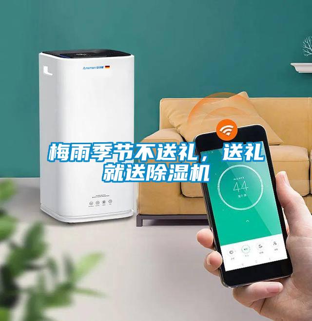 梅雨季節(jié)不送禮，送禮就送除濕機(jī)