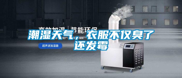 潮濕天氣，衣服不僅臭了還發霉