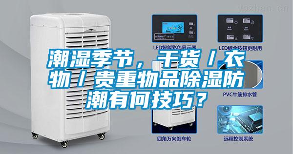 潮濕季節(jié)，干貨／衣物／貴重物品除濕防潮有何技巧？