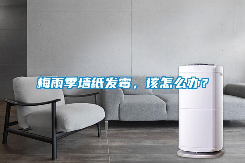 梅雨季墻紙發霉，該怎么辦？