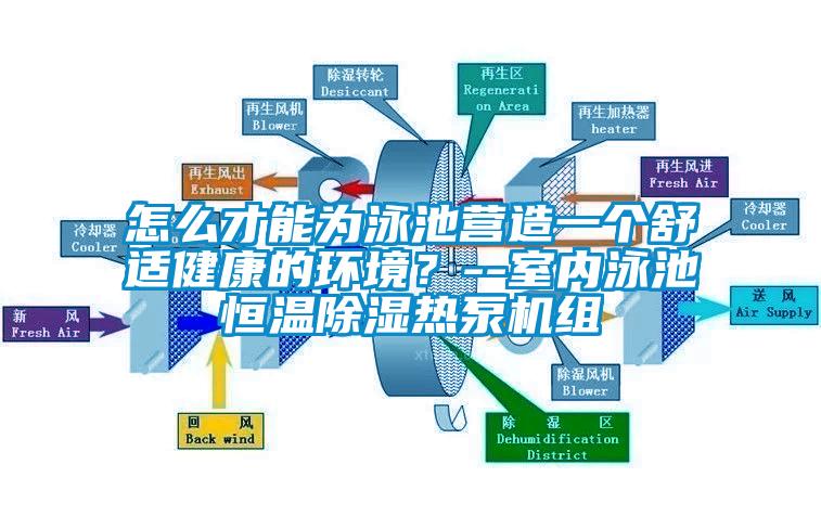 怎么才能為泳池營造一個舒適健康的環境?--室內泳池恒溫除濕熱泵機組