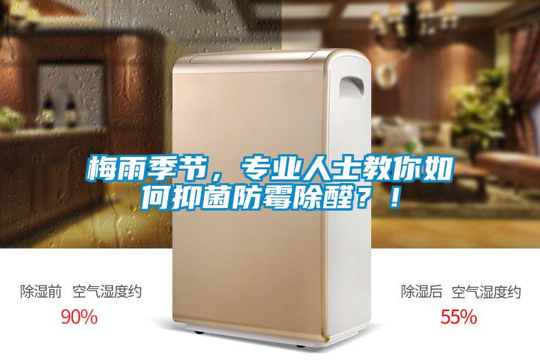 梅雨季節，專業人士教你如何抑菌防霉除醛？！