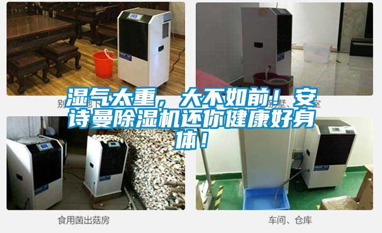 濕氣太重，大不如前！安詩曼除濕機還你健康好身體！