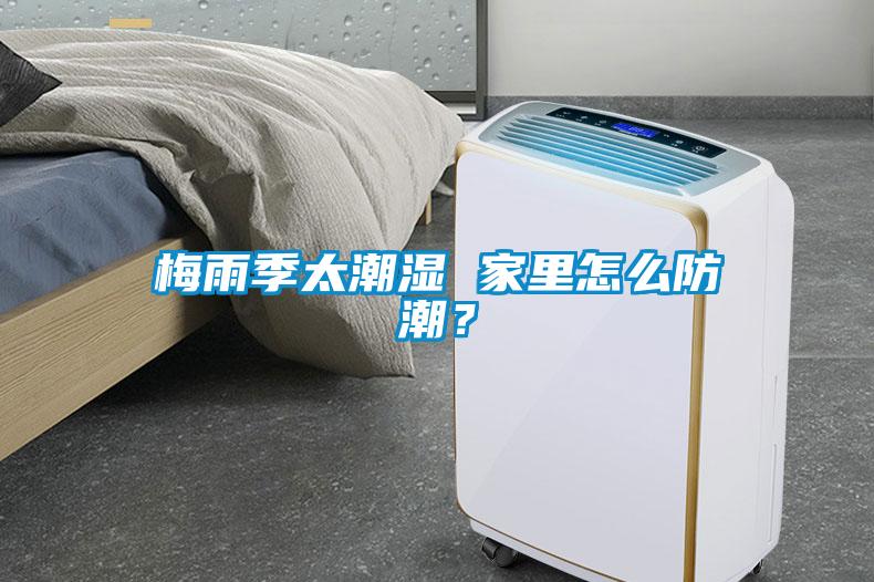 梅雨季太潮濕 家里怎么防潮？