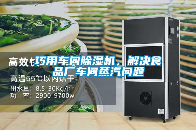 巧用車間除濕機，解決食品廠車間蒸汽問題