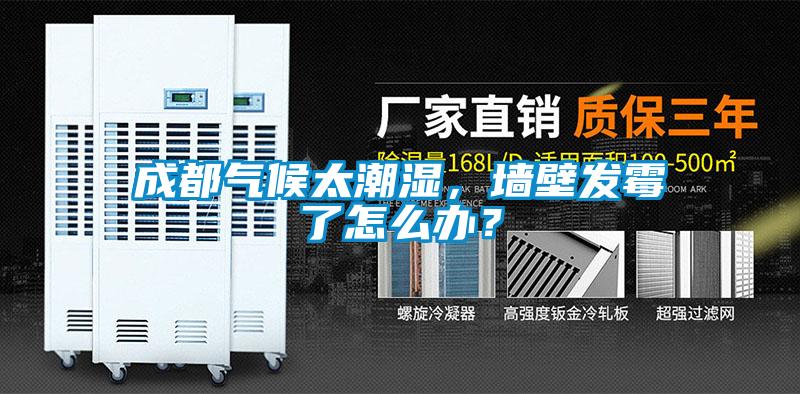 成都氣候太潮濕，墻壁發霉了怎么辦？