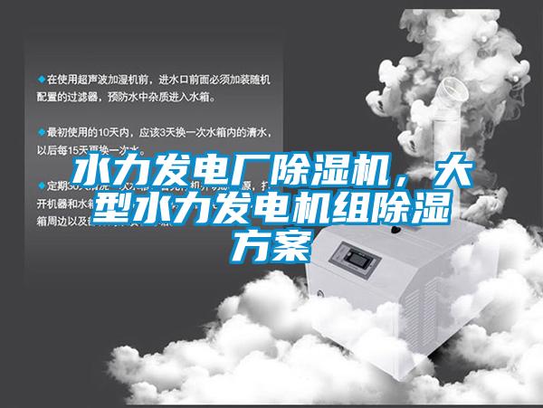 水力發電廠除濕機，大型水力發電機組除濕方案