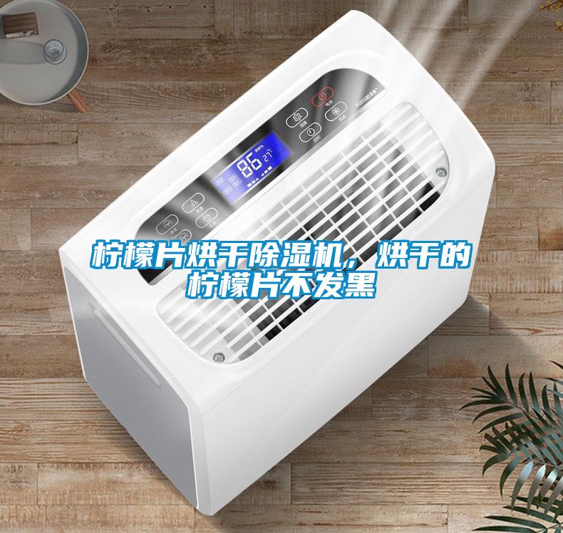檸檬片烘干除濕機，烘干的檸檬片不發黑