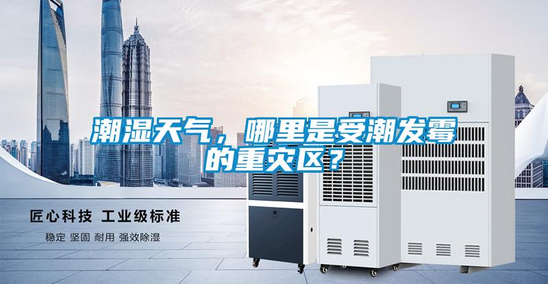 潮濕天氣，哪里是受潮發霉的重災區？
