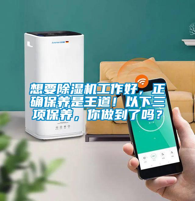 想要除濕機工作好，正確保養是王道！以下三項保養，你做到了嗎？