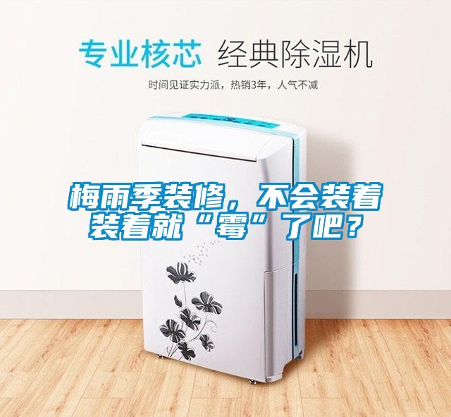 梅雨季裝修，不會裝著裝著就“霉”了吧？