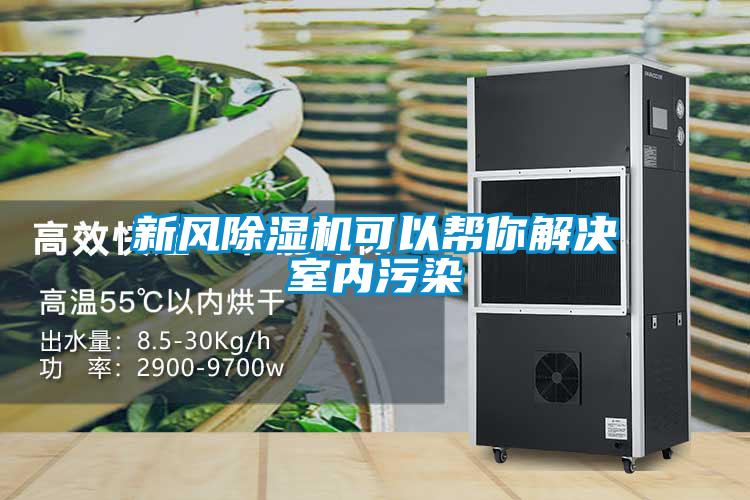 新風除濕機可以幫你解決室內污染