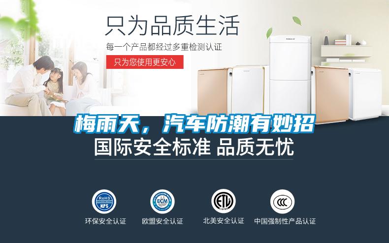 梅雨天，汽車防潮有妙招